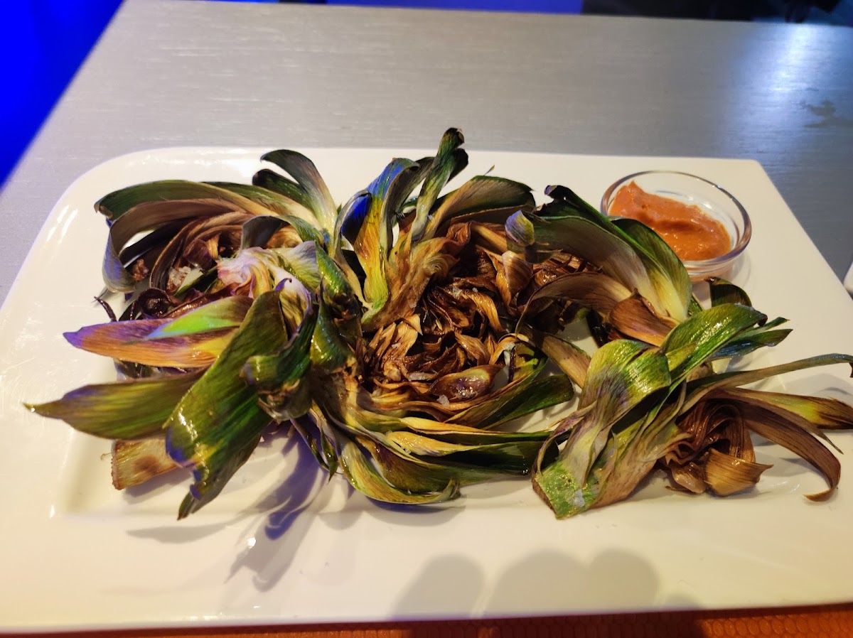 Trot De Cavall Photos 2